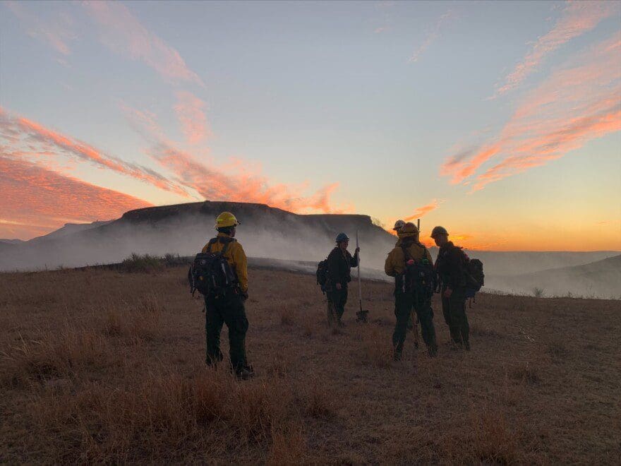 Five firefighters stand in front of a burning field
