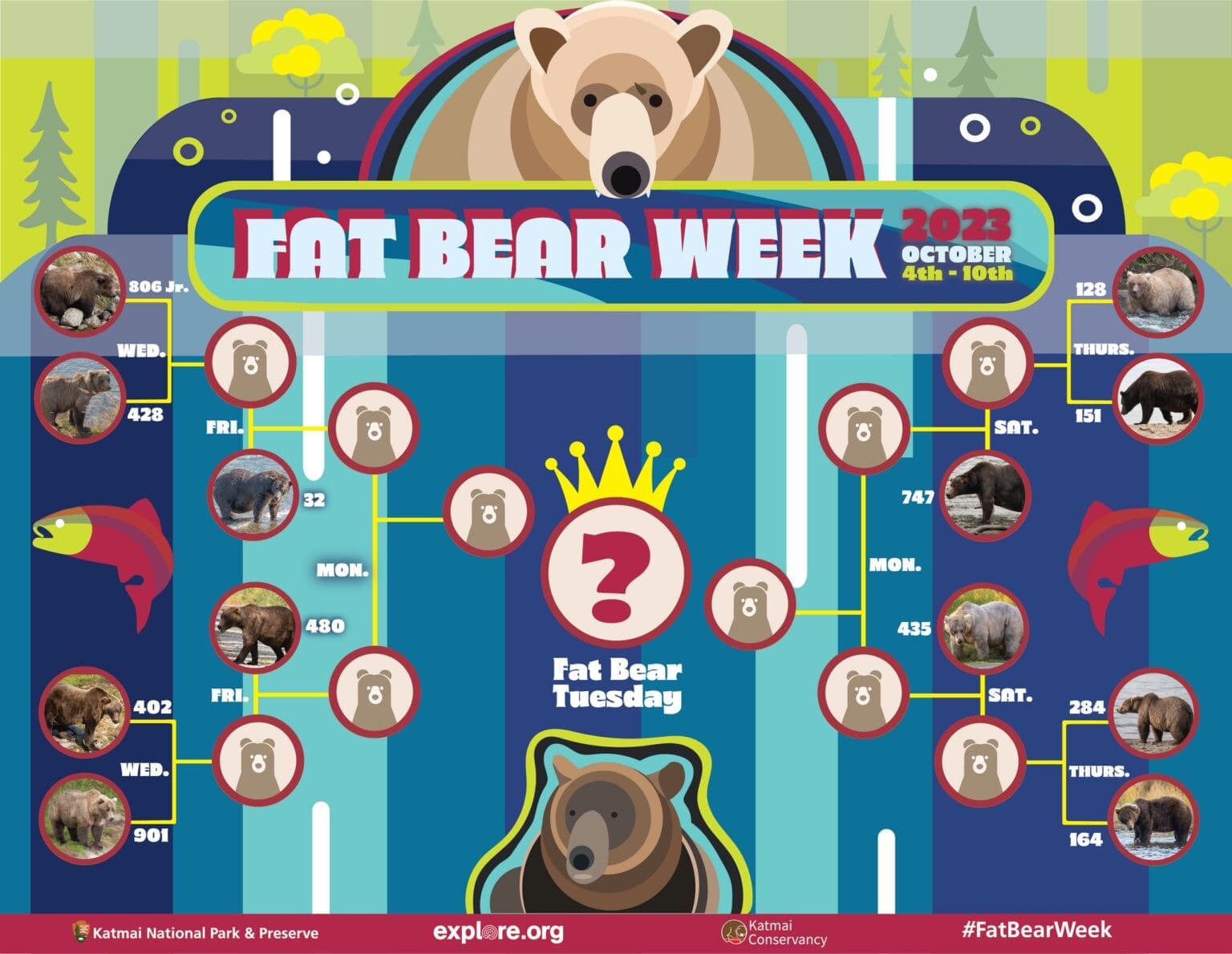 Fat Bear Competition Begins Today KCLY Radio