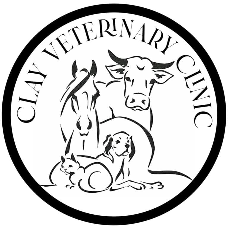 Salava Vet Clinic Now Called Clay Vet Clinic KCLY Radio