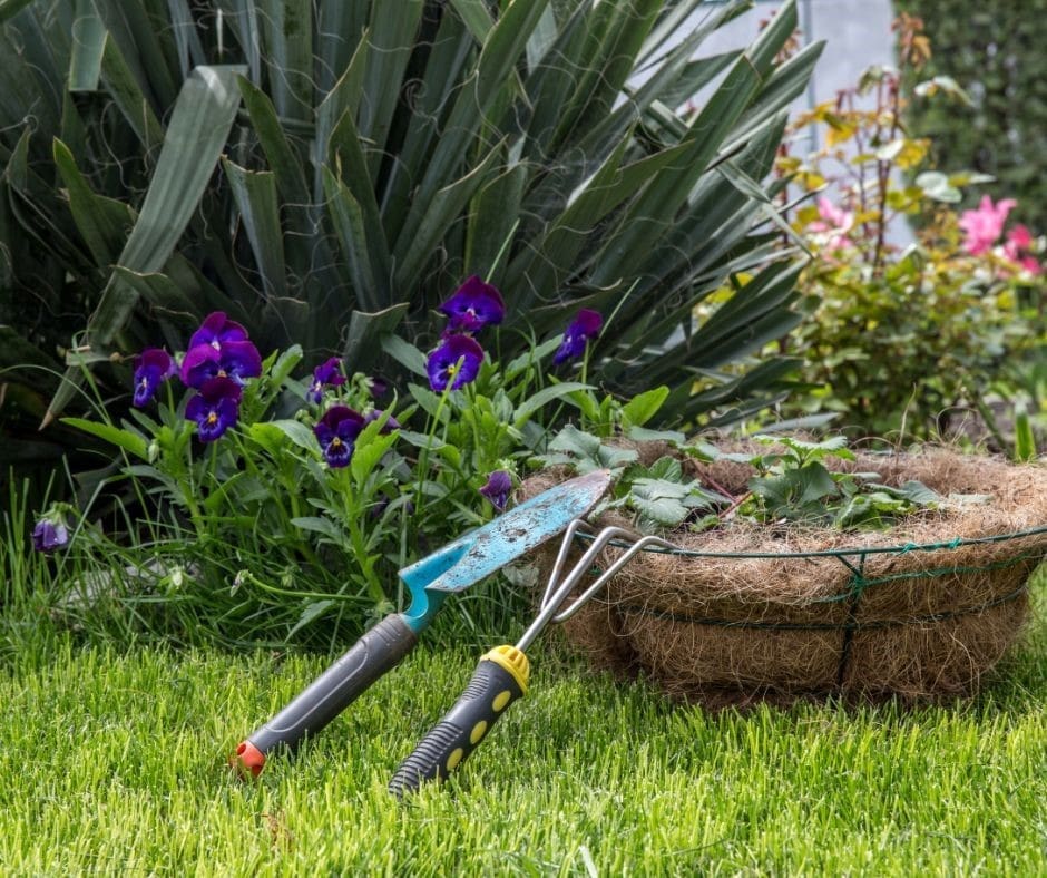 World Naked Gardening Day 2024 Best U.S. Cities for Nude Horticulture